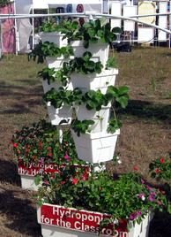 Hydro Harvest Farms