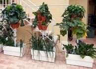 Hydro Harvest Farms